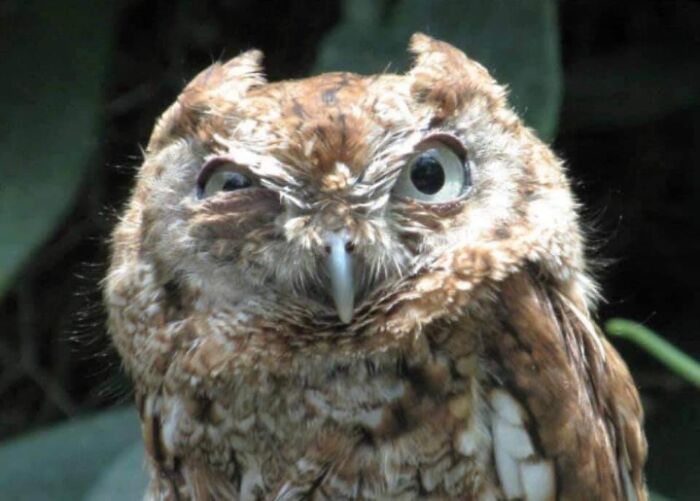 First Day Of 10th Grade. Teacher Calls My Name "Andrea. Do People Call You Andy?". Me, With A Scowl: "Just The One Time"