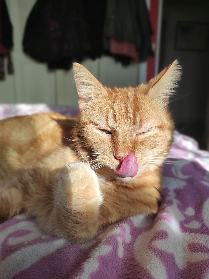 Pretty And I Know It