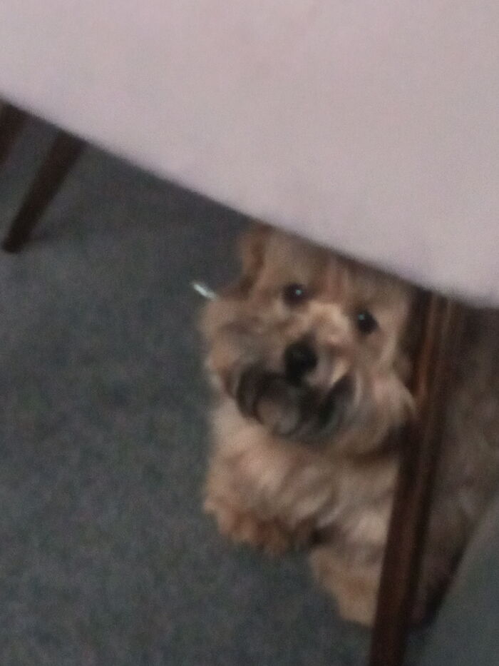 I Think She Needs A Haircut