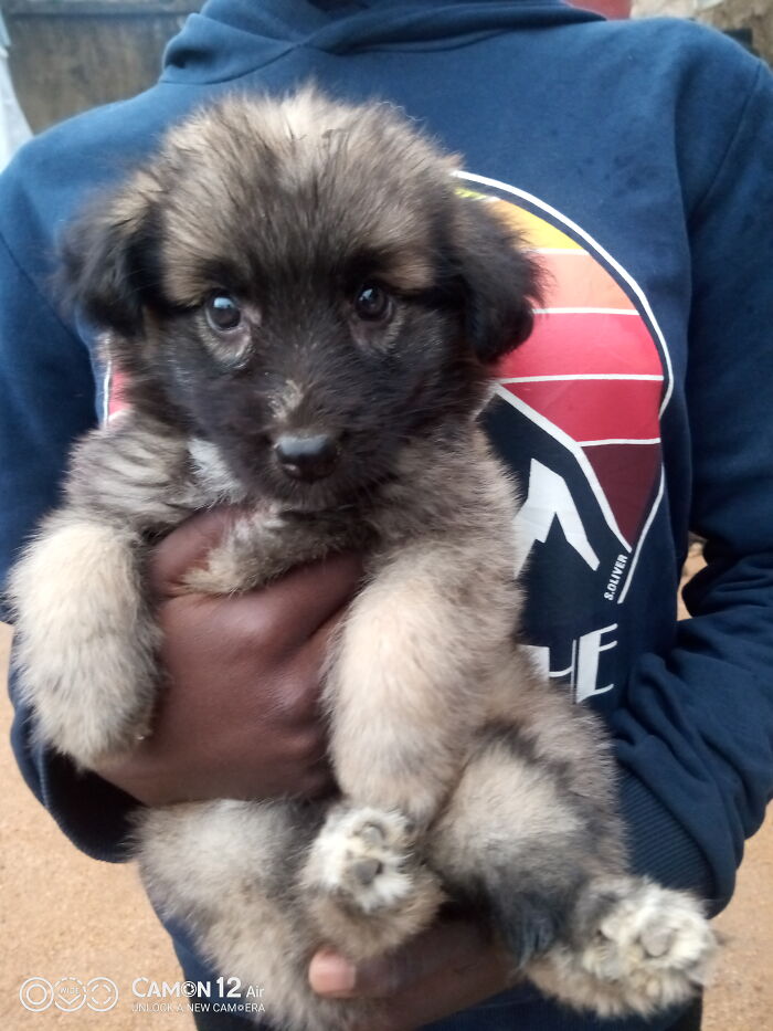 This Is Flora And She Loves Being Held