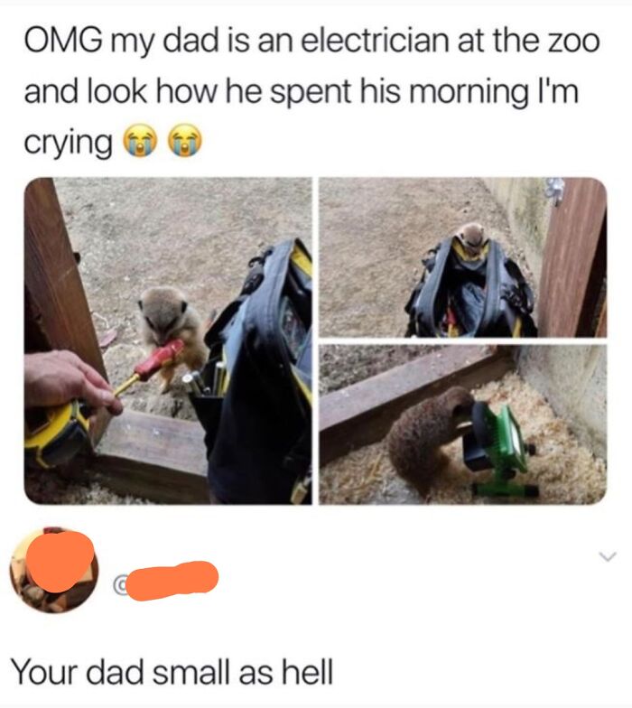 The Reply To This Tweet! I Cried Laughing A Gallon Of Tears!