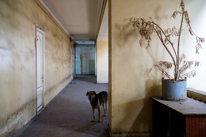 Scientist-Turned-Photographer Takes Pictures Of Ironic Everyday Moments (30 Pics)