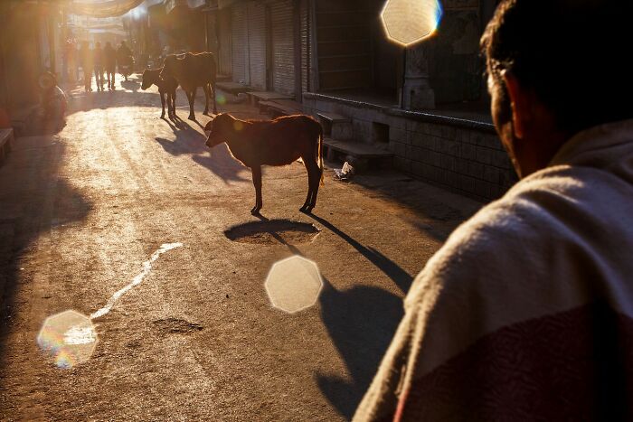 Scientist-Turned-Photographer Takes Pictures Of Ironic Everyday Moments (30 Pics)