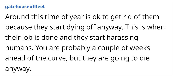Neighbor Calls This Mom "Evil" For Asking Pest Control To Remove A Wasp Nest To Protect Her 5 Y.O. Kid, She Wonders If She's A Jerk For Doing So