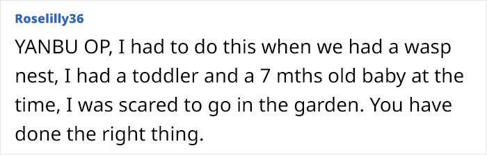 Neighbor Calls This Mom "Evil" For Asking Pest Control To Remove A Wasp Nest To Protect Her 5 Y.O. Kid, She Wonders If She's A Jerk For Doing So