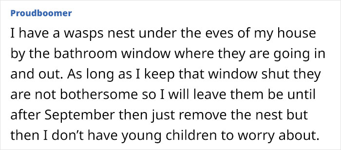 Neighbor Calls This Mom "Evil" For Asking Pest Control To Remove A Wasp Nest To Protect Her 5 Y.O. Kid, She Wonders If She's A Jerk For Doing So