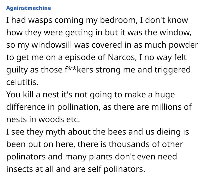 Neighbor Calls This Mom "Evil" For Asking Pest Control To Remove A Wasp Nest To Protect Her 5 Y.O. Kid, She Wonders If She's A Jerk For Doing So
