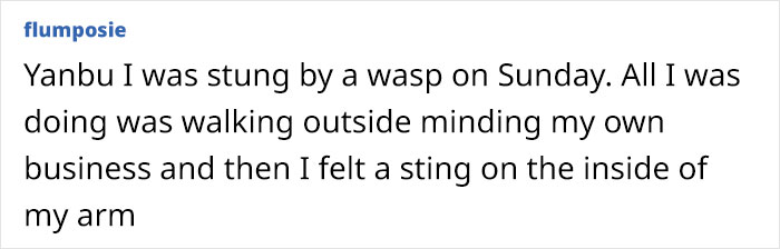 Neighbor Calls This Mom "Evil" For Asking Pest Control To Remove A Wasp Nest To Protect Her 5 Y.O. Kid, She Wonders If She's A Jerk For Doing So