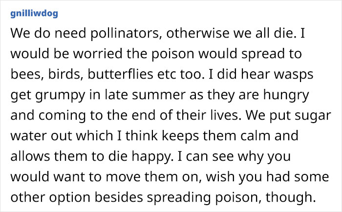 Neighbor Calls This Mom "Evil" For Asking Pest Control To Remove A Wasp Nest To Protect Her 5 Y.O. Kid, She Wonders If She's A Jerk For Doing So
