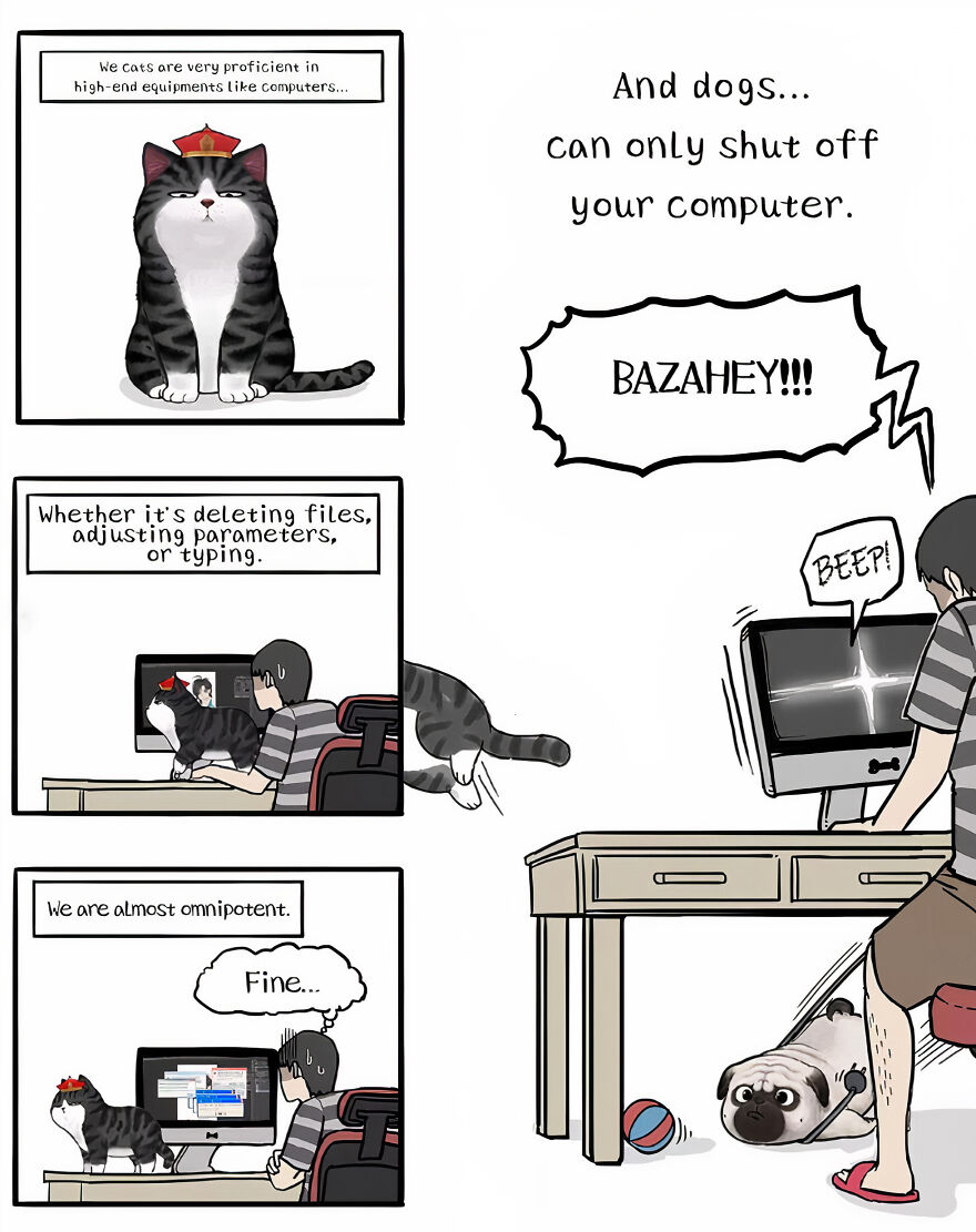 New Comic Book Series Following A Sarcastic Cat And Naive Pug To Launch In The U.S. After Selling Over 3 Million Copies In China! New Comic Book Series Following A Sarcastic Cat And Naive Pug To Launch In The U.S. After Selling Over 3 Million Copies In China!