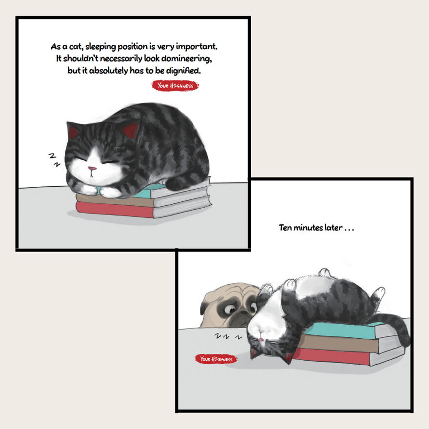 New Comic Book Series Following A Sarcastic Cat And Naive Pug To Launch In The U.S. After Selling Over 3 Million Copies In China! New Comic Book Series Following A Sarcastic Cat And Naive Pug To Launch In The U.S. After Selling Over 3 Million Copies In China!
