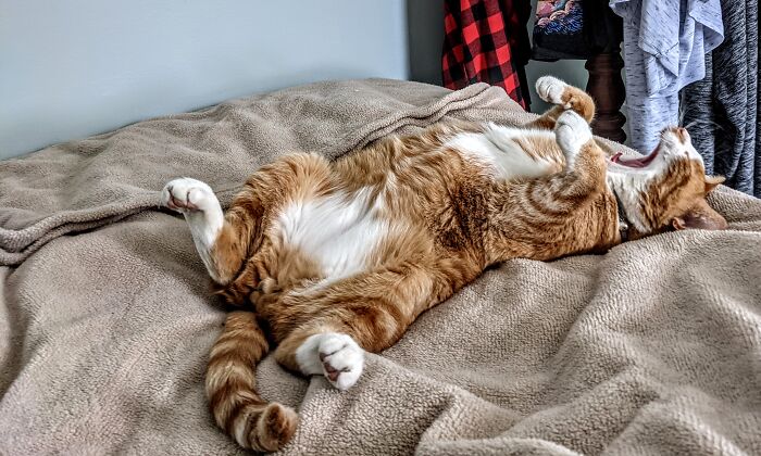 The Yawn That Takes Your Whole Body