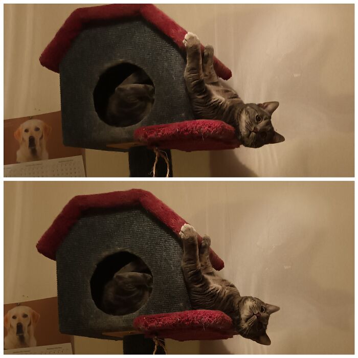 "What?! Nooooooo...."