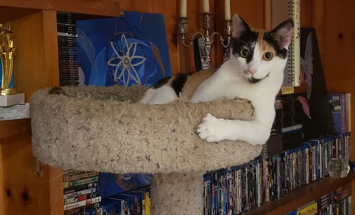 Roxette Would Like A Word With You!