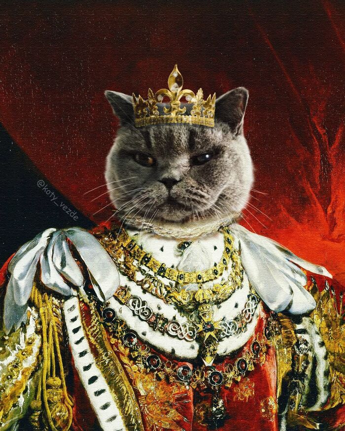 Russian Artist Surprises His Followers By Turning Cats Into Renaissance Paintings (78 Pics)