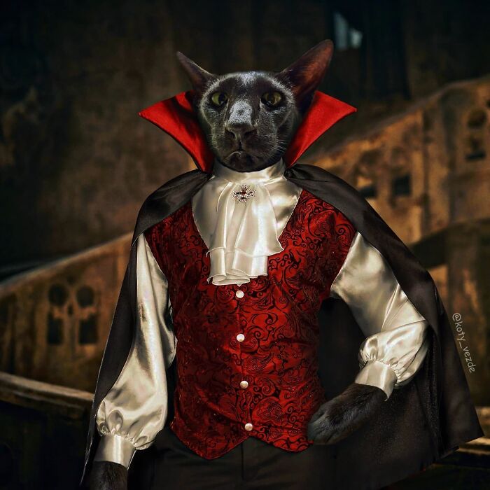 Russian Artist Surprises His Followers By Turning Cats Into Renaissance Paintings (78 Pics)