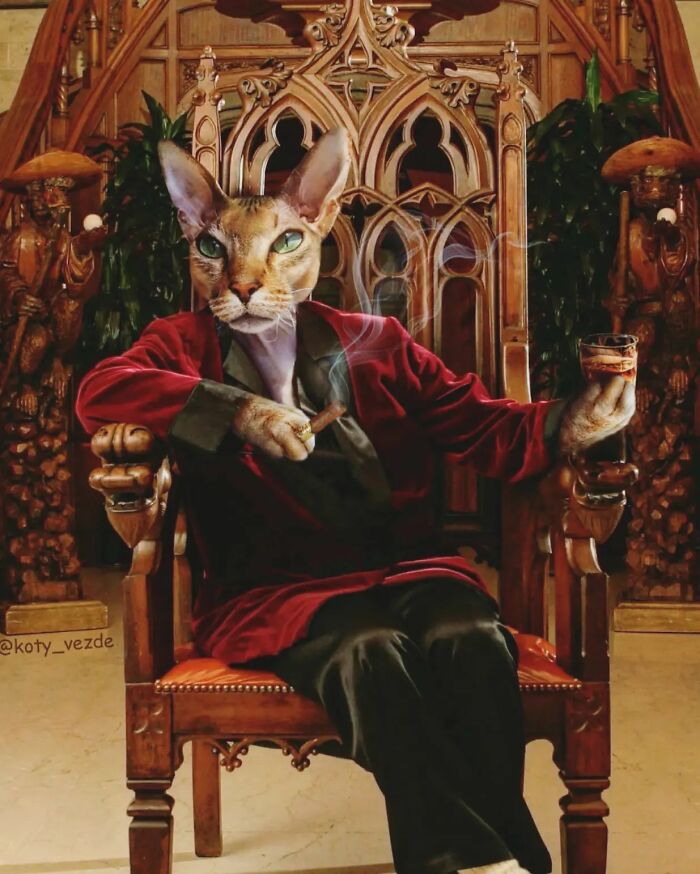 Russian Artist Surprises His Followers By Turning Cats Into Renaissance Paintings (78 Pics)