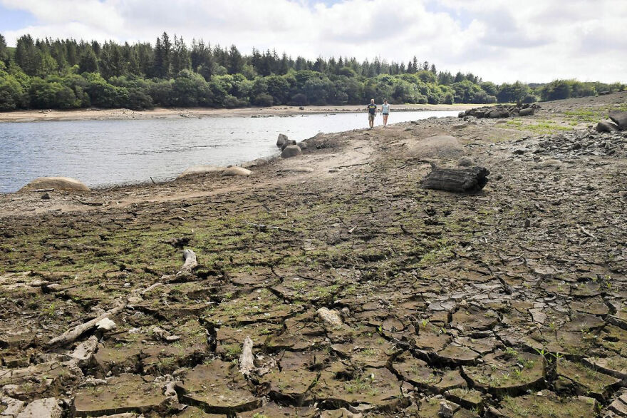 Save Water - Save The Earth, Save The Future