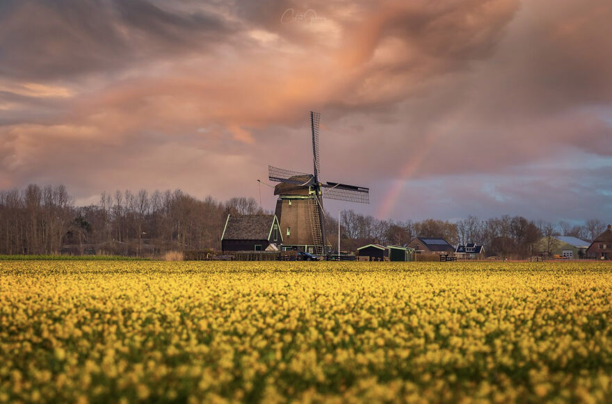 Creative Photos Showing The Color Yellow Taking Over