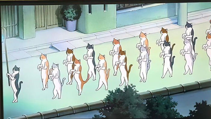 Took This When I First Watched The Movie