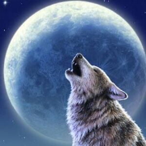 claudiacoulson_1 avatar