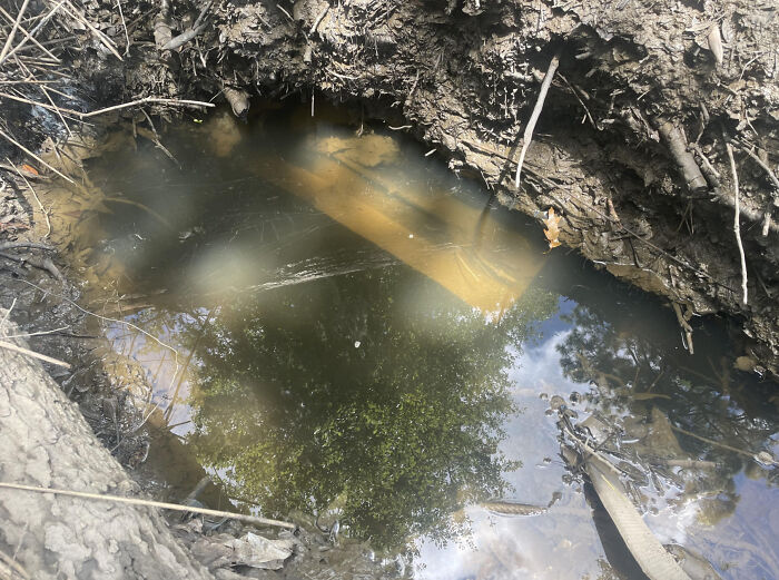 I Live On Part Of An Old Rice And Cotton Plantation. I Know A Slave Cemetery Is Somewhere In The Area But No Records Survive Showing Precise Location. We Got A Ton Of Rain A Few Days Ago. This Was Uncovered By The Water After A Few Feet Of Erosion