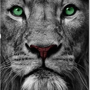 nnakwefrancischukwuemeka avatar