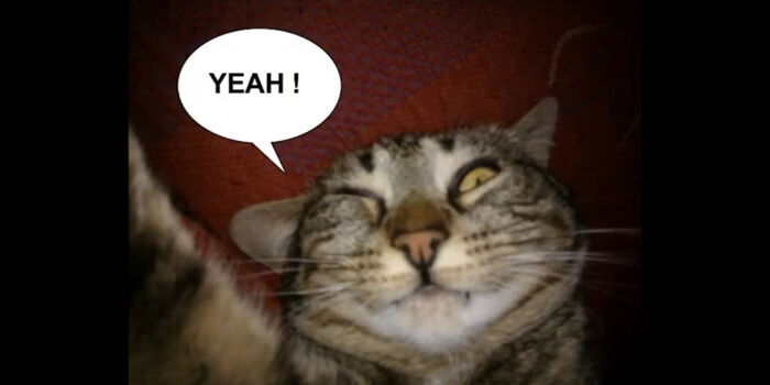 This Is Jenny She Was My Pet (And Yes My Avatar Too)