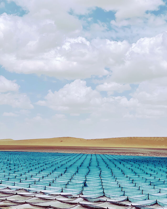 3er lugar, Medio Ambiente - Shou Li