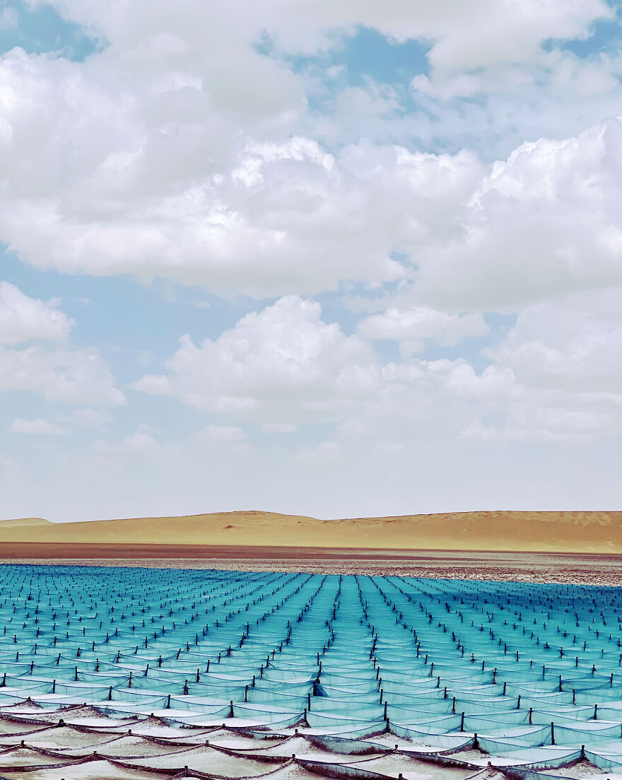 3rd Place, Environment - Shou Li