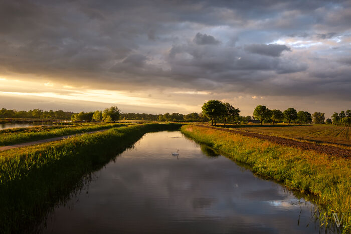 Scenic countryside in a rural area of the Netherlands with a river, green fields, trees, and a cloudy sky at sunset.
