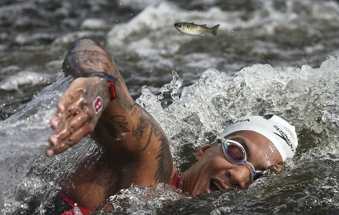Swimmer in action amidst splashing water with a fish jumping nearby, capturing a best moment in sports photography.