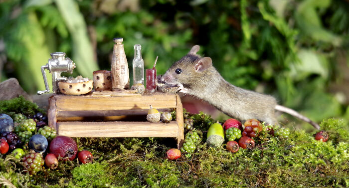 I Built A Scaled-Down Village For Wild Mice In My Garden, And They Love It I Built A Scaled-Down Village For Wild Mice In My Garden, And They Love It