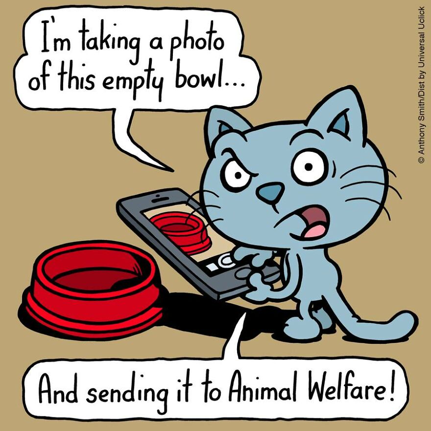 This Artist Perfectly Illustrates Your Cat's "Cattitude"-Interview With Artist