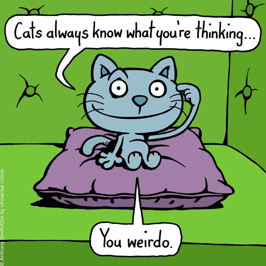 This Artist Perfectly Illustrates Your Cat's "Cattitude"-Interview With Artist