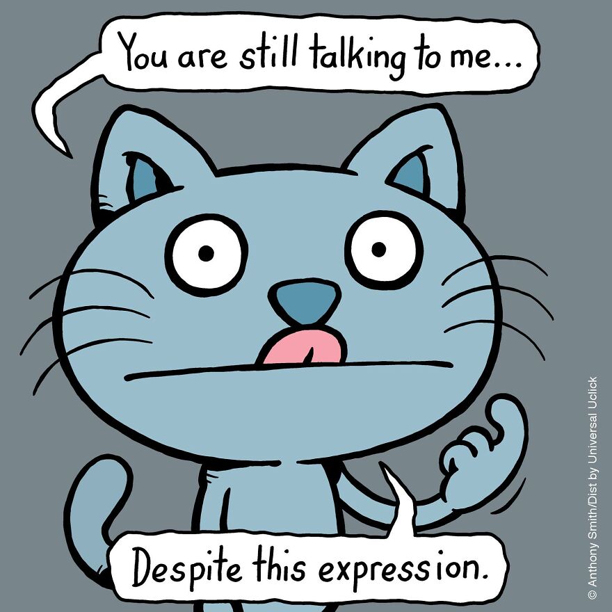 This Artist Perfectly Illustrates Your Cat's "Cattitude"-Interview With Artist