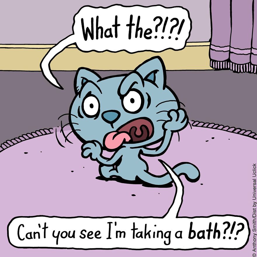 This Artist Perfectly Illustrates Your Cat's "Cattitude"-Interview With Artist