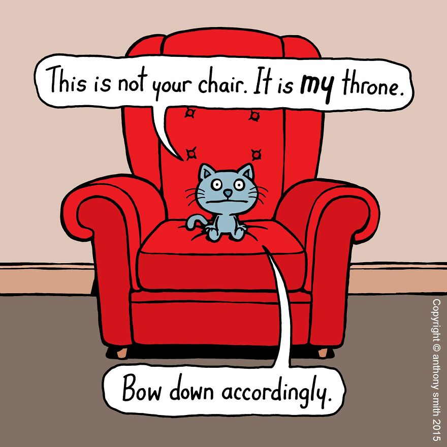 This Artist Perfectly Illustrates Your Cat's "Cattitude"-Interview With Artist
