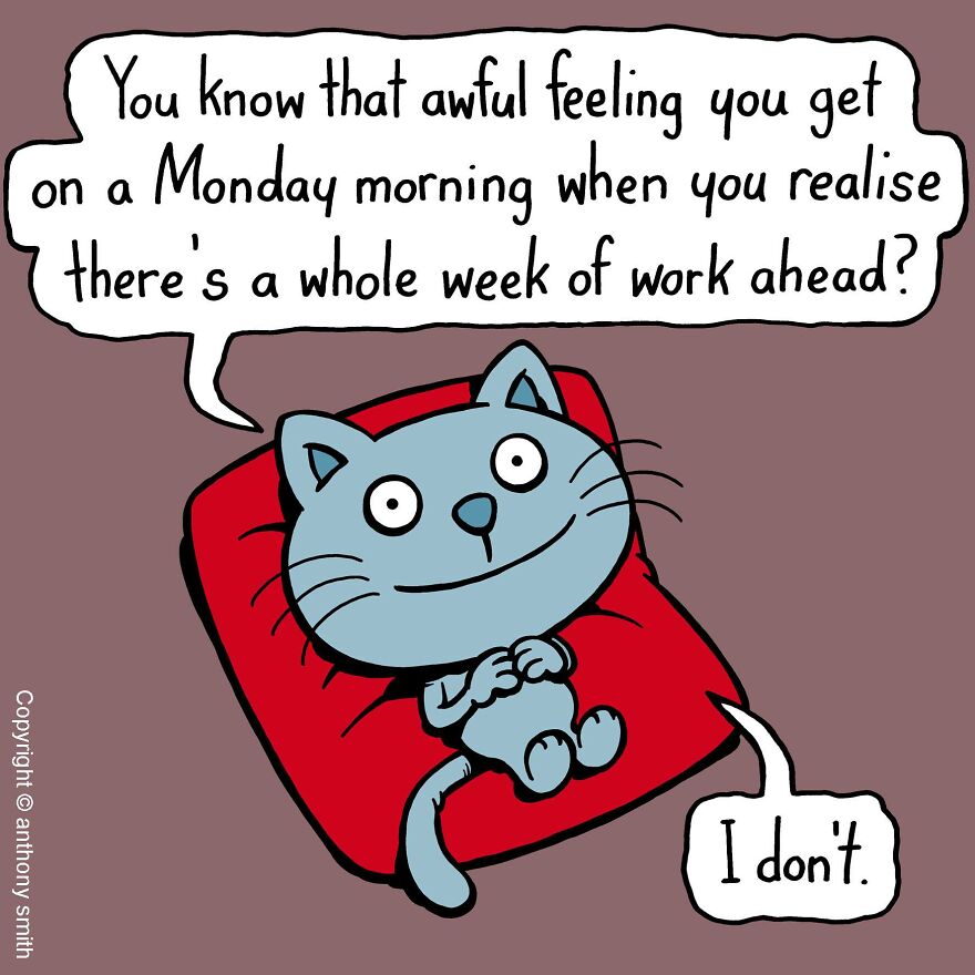 This Artist Perfectly Illustrates Your Cat's "Cattitude"-Interview With Artist