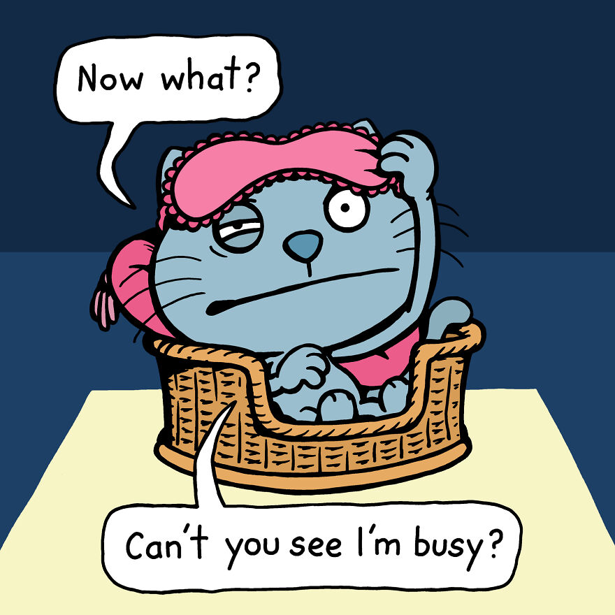 This Artist Perfectly Illustrates Your Cat's "Cattitude"-Interview With Artist