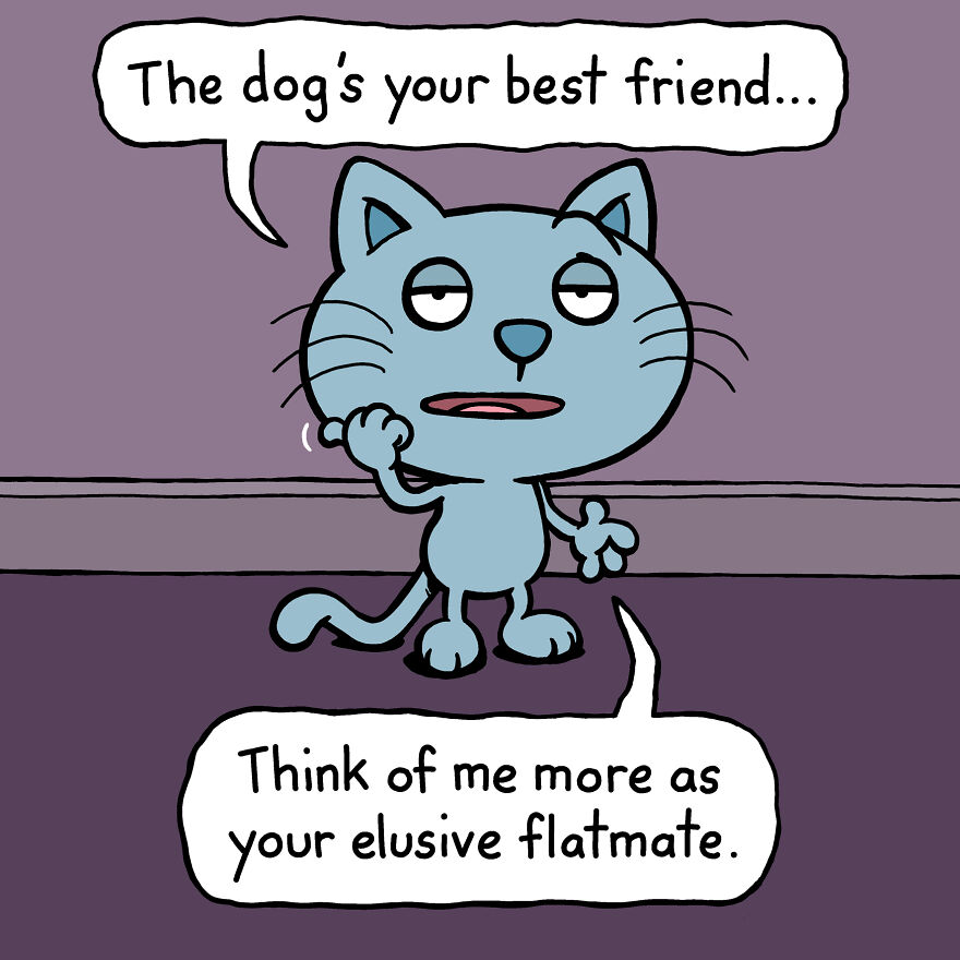 This Artist Perfectly Illustrates Your Cat's "Cattitude"-Interview With Artist