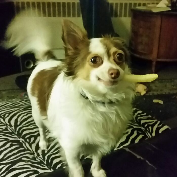 Meet Mr. Timothy Bits