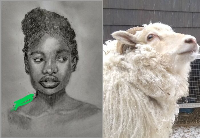 My Pet Sheep Is The Real Artist. What Would L Do Without His Signature Bite Marks Along The Edge Of The Page Page