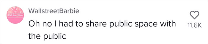 Plane Passenger Sparks Online Debates On &ldquo;Adult-Only&rdquo; Flights After Her 3-Hour Trip Gets Ruined By Crying Kid That&rsquo;s Kicking Her Chair