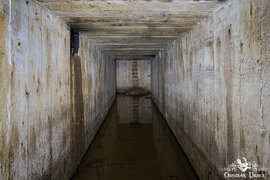 I Photographed This Old British WWII Air Raid Shelter&mdash;the Walls Lined With Portraits Of 1940s Women And Soldiers