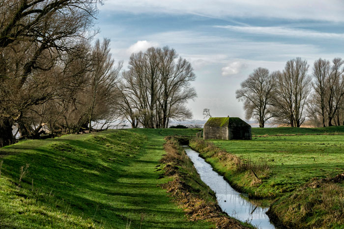Woman Gets &ldquo;Nuclear Revenge&rdquo; On Neighbor Who Flooded Their Lot And Cut Down 23 Of Their Trees
