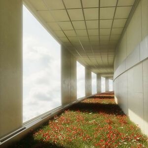 doctorwhorules359 avatar