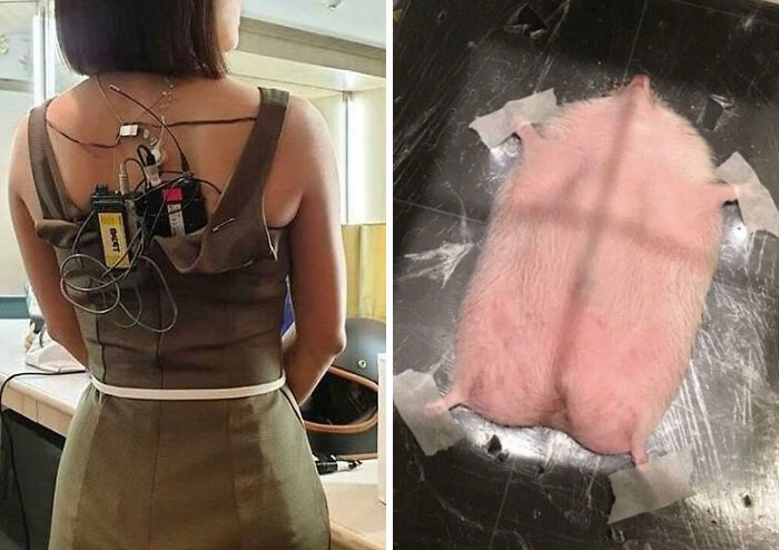 50 Photos That Provide “Alternate Angles” On Events, Places, And Things You Might Not Have Seen Before (New Pics)