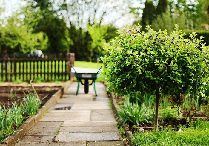 30 People Share Their Absolute Worst Homeowner Association Stories