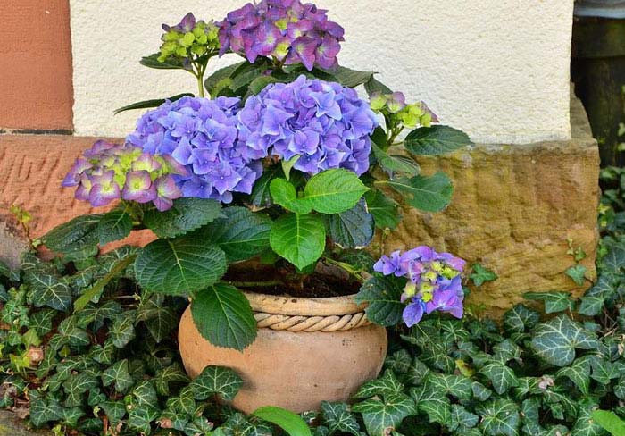 30 People Share Their Absolute Worst Homeowner Association Stories